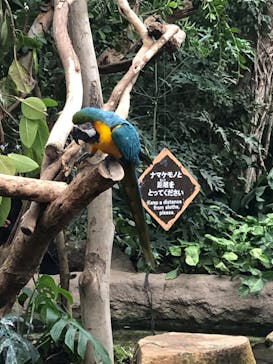 神戸どうぶつ王国に投稿された画像（2024/1/28）