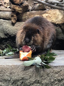 神戸どうぶつ王国に投稿された画像（2024/1/28）