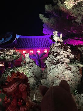 体験王国 むら咲むらに投稿された画像（2024/1/28）