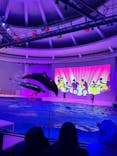 アクアワールド茨城県大洗水族館に投稿された画像（2024/1/28）