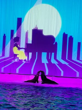 アクアワールド茨城県大洗水族館に投稿された画像（2024/1/28）