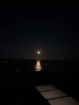 アクアワールド茨城県大洗水族館に投稿された画像（2024/1/28）