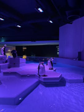 AOAO SAPPOROに投稿された画像（2024/1/28）