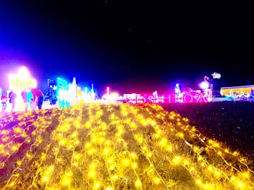 鹿児島イルミナージュに投稿された画像（2024/1/28）