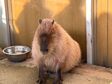 新江ノ島水族館に投稿された画像（2024/1/28）