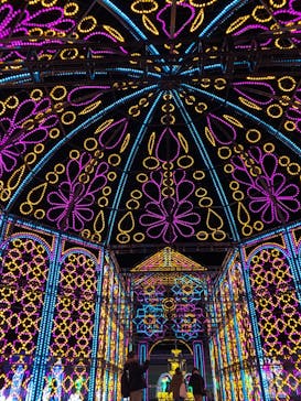 神戸イルミナージュに投稿された画像（2024/1/28）