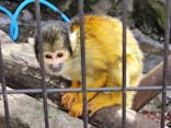 伊豆シャボテン動物公園に投稿された画像（2024/1/28）