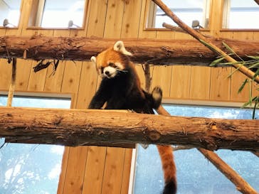 伊豆シャボテン動物公園に投稿された画像（2024/1/28）