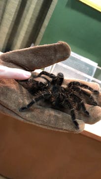 淡路ファームパーク イングランドの丘に投稿された画像（2024/1/28）