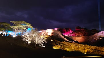 今帰仁城跡に投稿された画像（2024/1/28）