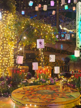 ひらかたパークに投稿された画像（2024/1/28）