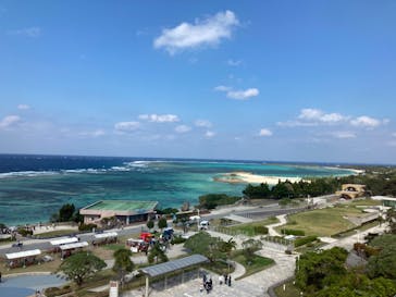 沖縄美ら海水族館に投稿された画像（2024/1/28）