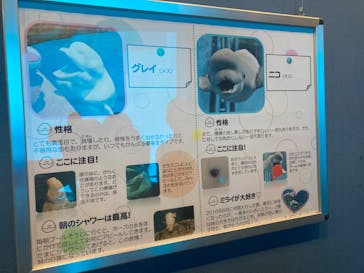 名古屋港水族館に投稿された画像（2024/1/28）