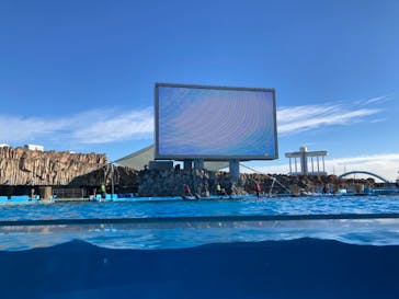 名古屋港水族館に投稿された画像（2024/1/28）
