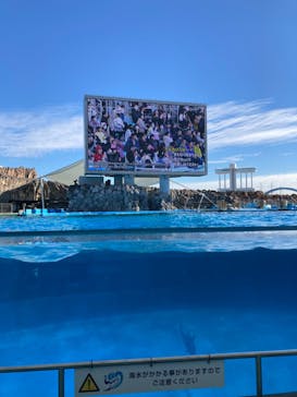 名古屋港水族館に投稿された画像（2024/1/28）