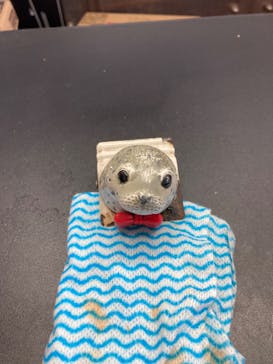 名古屋港水族館に投稿された画像（2024/1/28）