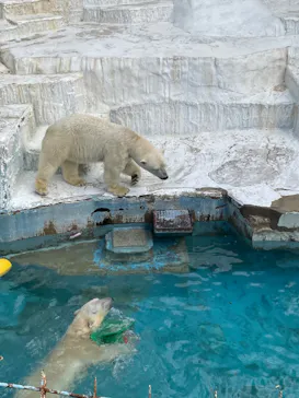 天王寺動物園に投稿された画像（2024/1/28）