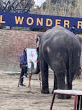 ANIMAL WONDER REZOURT 市原ぞうの国・サユリワールドに投稿された画像（2024/1/29）