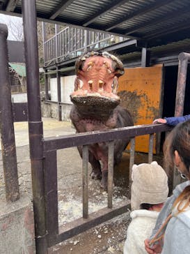 ANIMAL WONDER REZOURT 市原ぞうの国・サユリワールドに投稿された画像（2024/1/28）