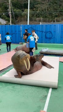 ゼロ距離水族館 伊勢シーパラダイスに投稿された画像（2024/1/29）