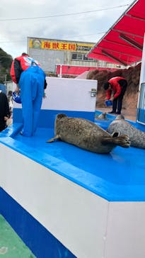 ゼロ距離水族館 伊勢シーパラダイスに投稿された画像（2024/1/29）