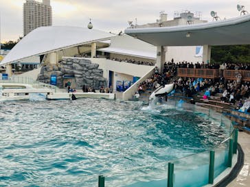 鴨川シーワールドに投稿された画像（2024/1/29）