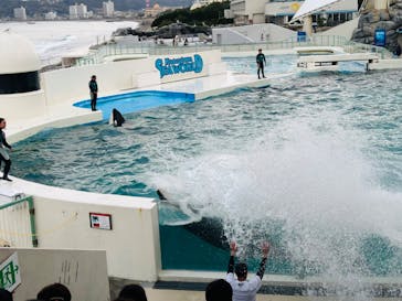 鴨川シーワールドに投稿された画像（2024/1/29）