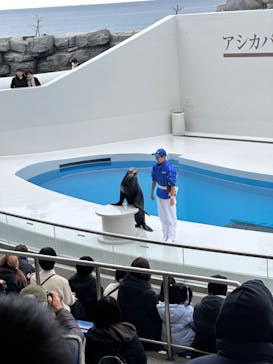 鴨川シーワールドに投稿された画像（2024/1/29）