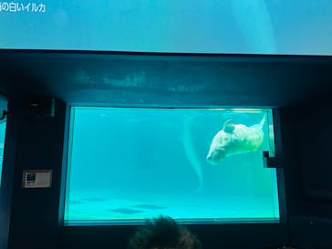 鴨川シーワールドに投稿された画像（2024/1/29）