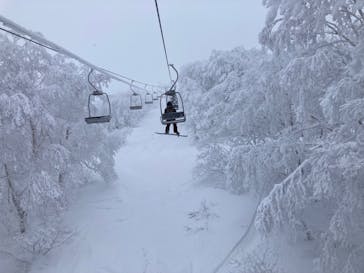 たざわ湖スキー場に投稿された画像（2024/1/29）