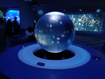 新江ノ島水族館に投稿された画像（2024/1/29）