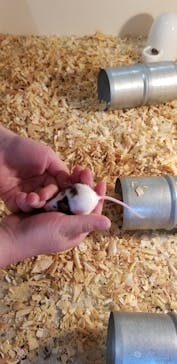 アニタッチアクアシティお台場に投稿された画像（2024/1/29）