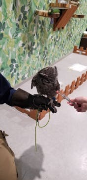 アニタッチアクアシティお台場に投稿された画像（2024/1/29）