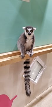 アニタッチアクアシティお台場に投稿された画像（2024/1/29）