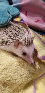 アニタッチアクアシティお台場に投稿された画像（2024/1/29）