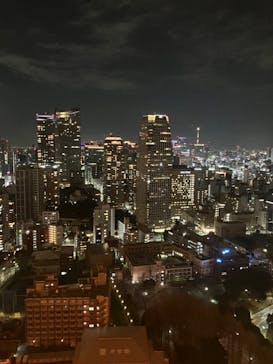 東京タワーに投稿された画像（2024/1/29）