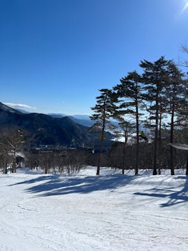 爺ガ岳スキー場に投稿された画像（2024/1/29）