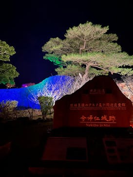 今帰仁城跡に投稿された画像（2024/1/29）