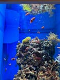 アクアワールド茨城県大洗水族館に投稿された画像（2024/1/29）