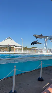 横浜・八景島シーパラダイスに投稿された画像（2024/1/29）