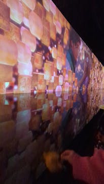 ディズニー・アニメーション・イマーシブ・エクスペリエンスに投稿された画像（2024/1/29）