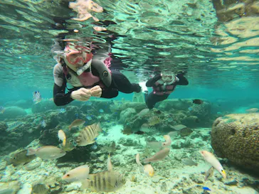 武藤潜水に投稿された画像（2024/1/29）