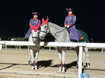 東京メガイルミに投稿された画像（2024/1/29）