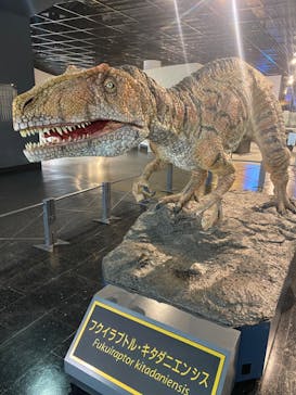 福井県立恐竜博物館に投稿された画像（2024/1/29）