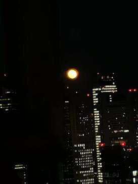 東京タワーに投稿された画像（2024/1/29）