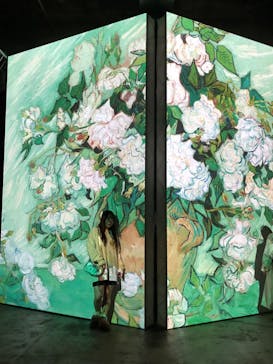 ゴッホ・アライブに投稿された画像（2024/1/29）