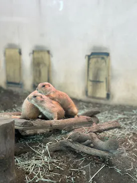 横浜・八景島シーパラダイスに投稿された画像（2024/1/29）