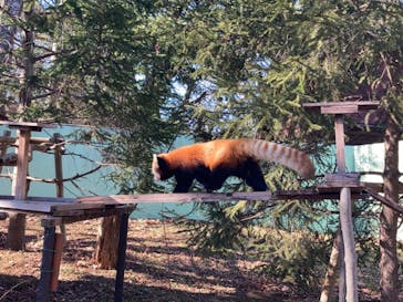 千葉市動物公園に投稿された画像（2024/1/29）