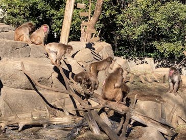 千葉市動物公園に投稿された画像（2024/1/29）