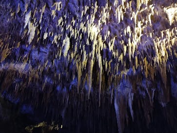 おきなわワールドに投稿された画像（2024/1/29）